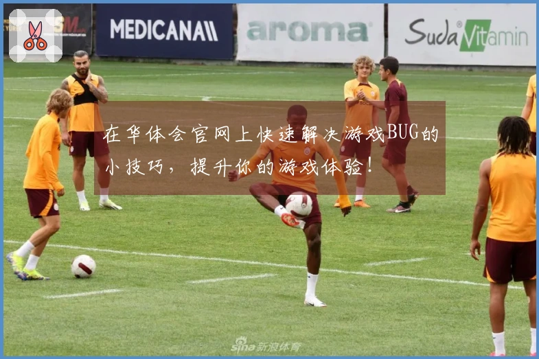 在华体会官网上快速解决游戏BUG的小技巧，提升你的游戏体验！