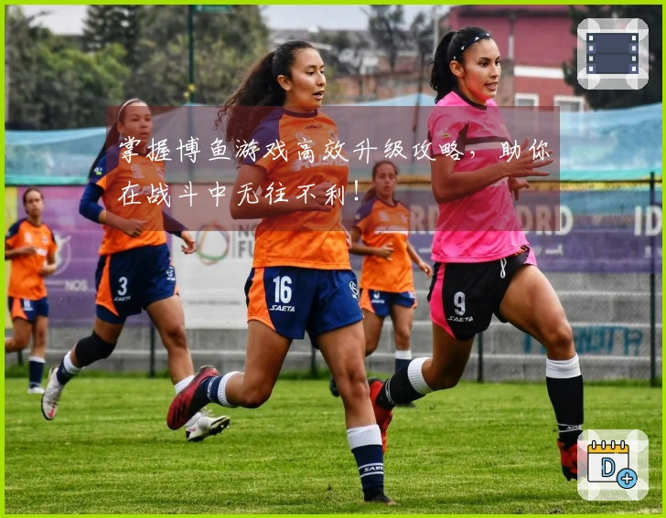 掌握博鱼游戏高效升级攻略，助你在战斗中无往不利！