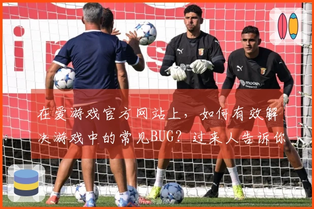 在爱游戏官方网站上，如何有效解决游戏中的常见BUG？过来人告诉你！