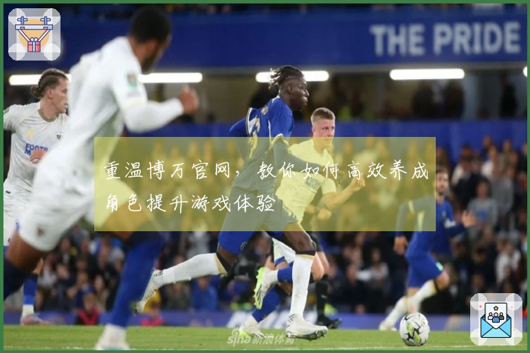 重温博万官网，教你如何高效养成角色提升游戏体验