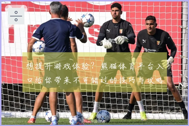 想提升游戏体验？熊猫体育平台入口给你带来不可错过的技巧与攻略！