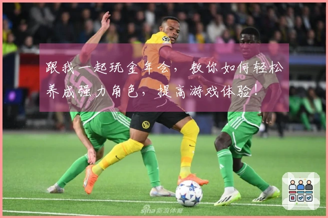 跟我一起玩金年会，教你如何轻松养成强力角色，提高游戏体验！